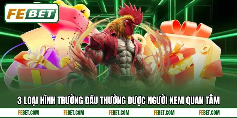 3 loại hình trường đấu thường được người xem quan tâm 3 loại hình trường đấu thường được người xem quan tâm