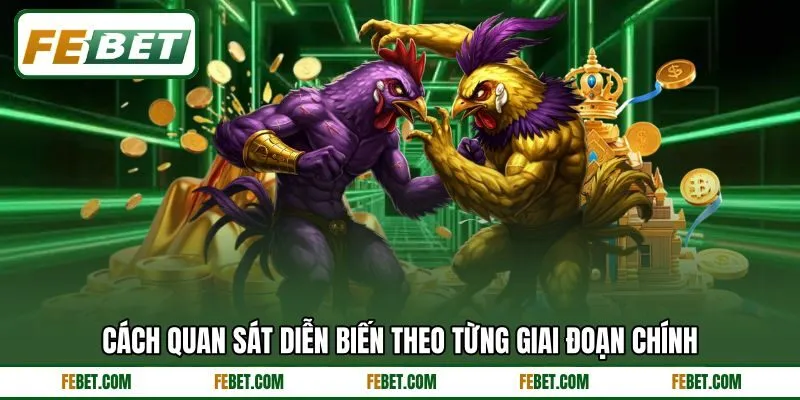 Cách quan sát diễn biến theo từng giai đoạn chính