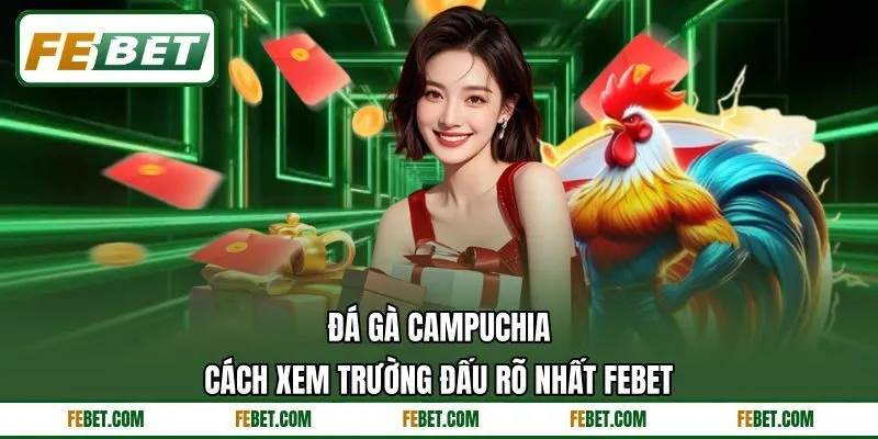 Đá Gà Campuchia - Cách Xem Trường Đấu Rõ Nhất FEBET