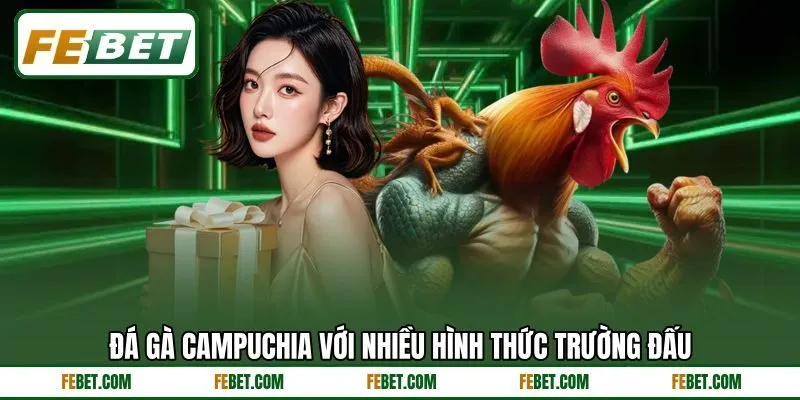 Đá gà Campuchia với nhiều hình thức trường đấu Đá gà Campuchia với nhiều hình thức trường đấu