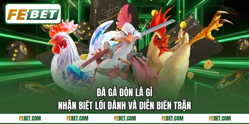 Đá Gà Đòn Là Gì - Nhận Biết Lối Đánh Và Diễn Biến Trận