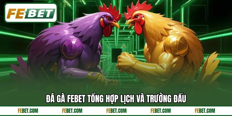 Đá gà FEBET tổng hợp lịch và trường đấu Đá gà FEBET tổng hợp lịch và trường đấu