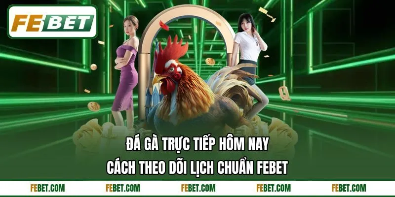 Đá Gà Trực Tiếp Hôm Nay - Cách Theo Dõi Lịch Chuẩn FEBET