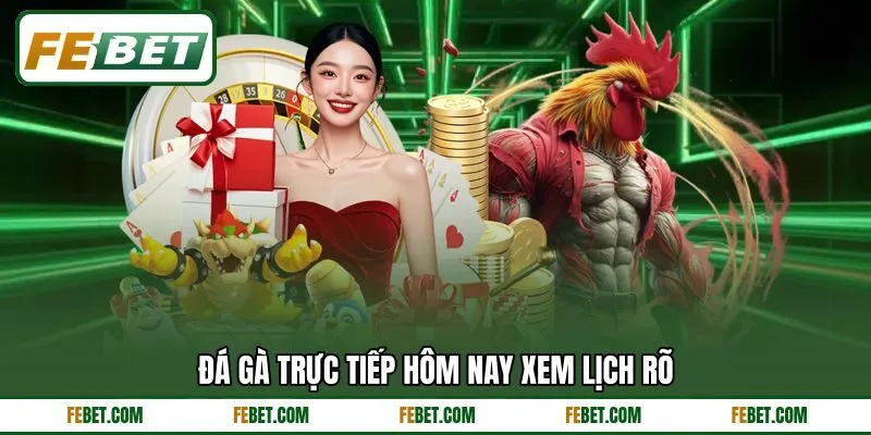 Đá gà trực tiếp hôm nay xem lịch rõ Đá gà trực tiếp hôm nay xem lịch rõ