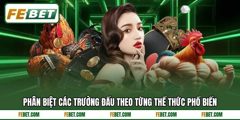 Phân biệt các trường đấu theo từng thể thức phổ biến Phân biệt các trường đấu theo từng thể thức phổ biến